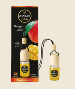 Diffuseur Voiture Mangue